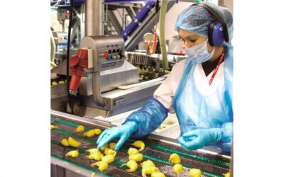 Seguridad Industrial en la Industria Alimentaria: Garantizando la Calidad y la Salud