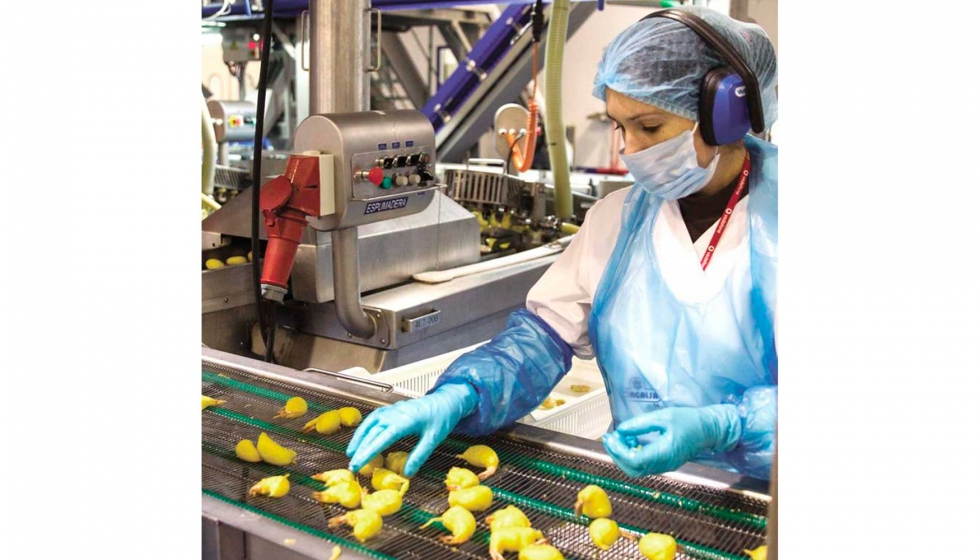 Seguridad Industrial en la Industria Alimentaria: Garantizando la Calidad y la Salud