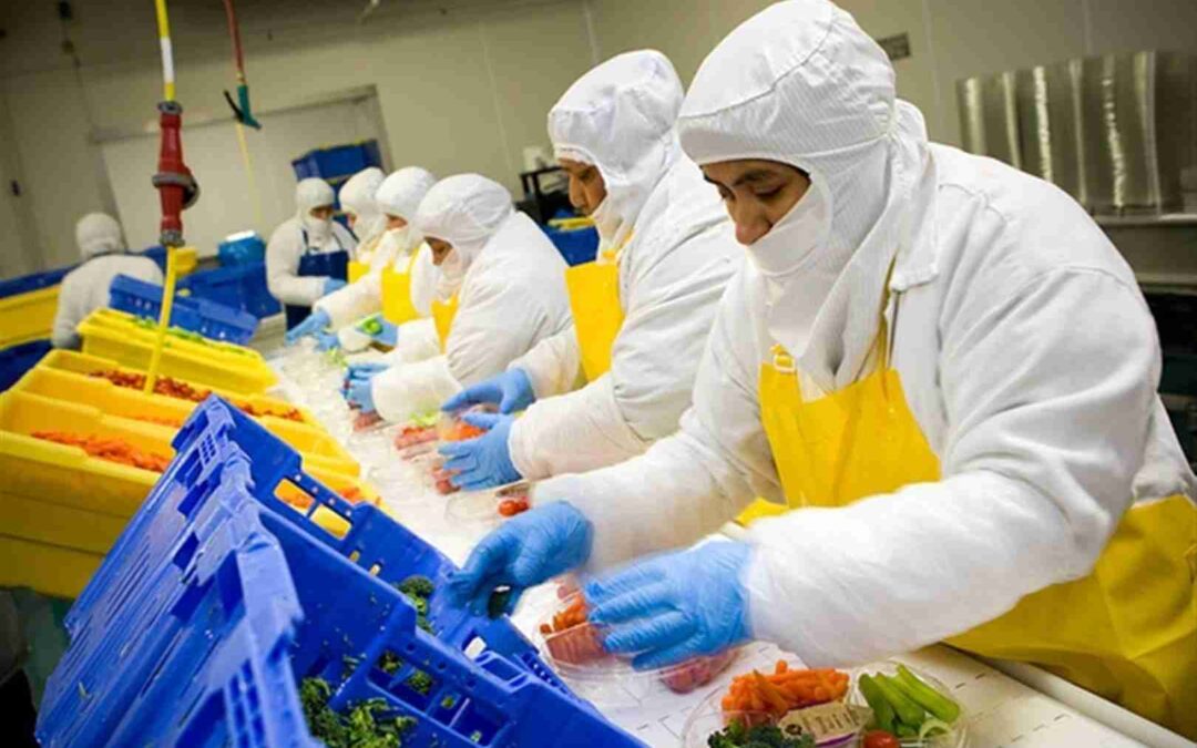 Seguridad en la Industria Alimentaria: Normas y Equipos
