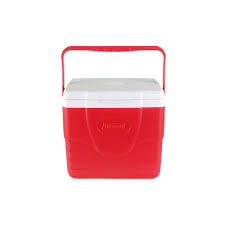 COOLER PLASTICO DE 8.5 LT
