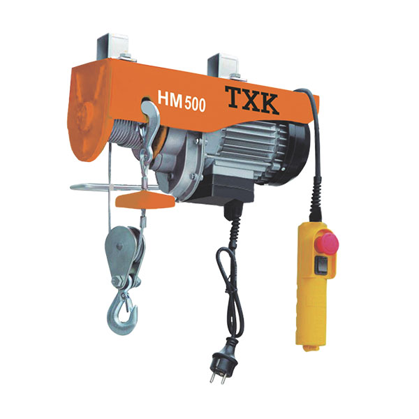 WINCHE ELECTRICO DE 250 KG