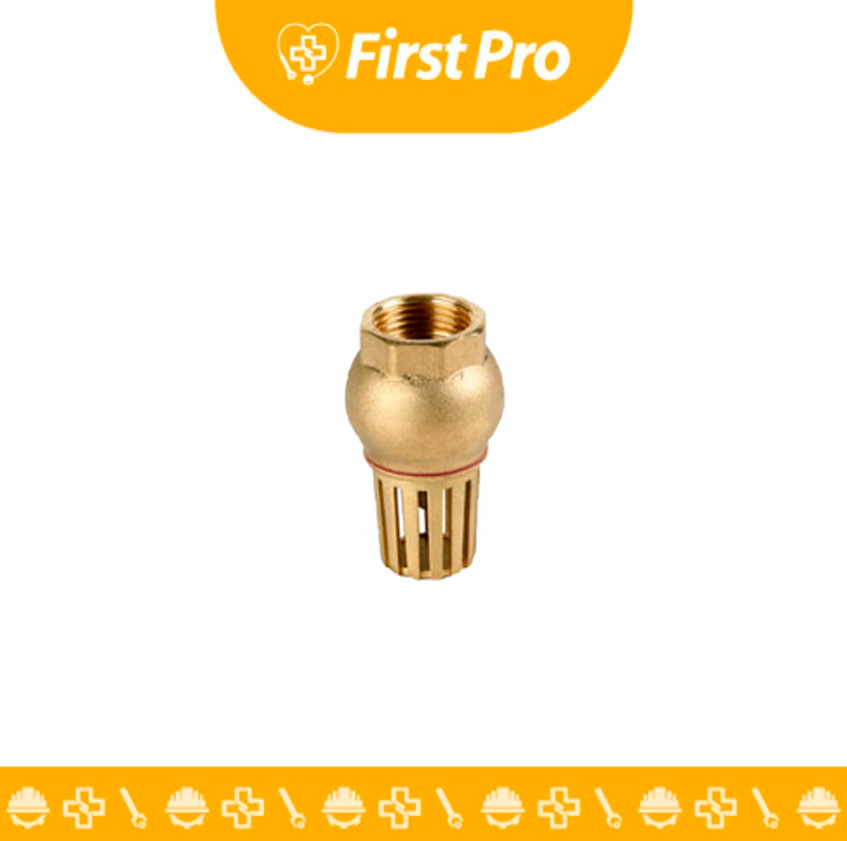 Válvula Check de Canastilla