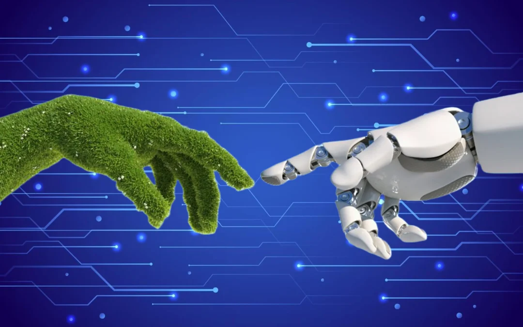 Avances en productos más responsables