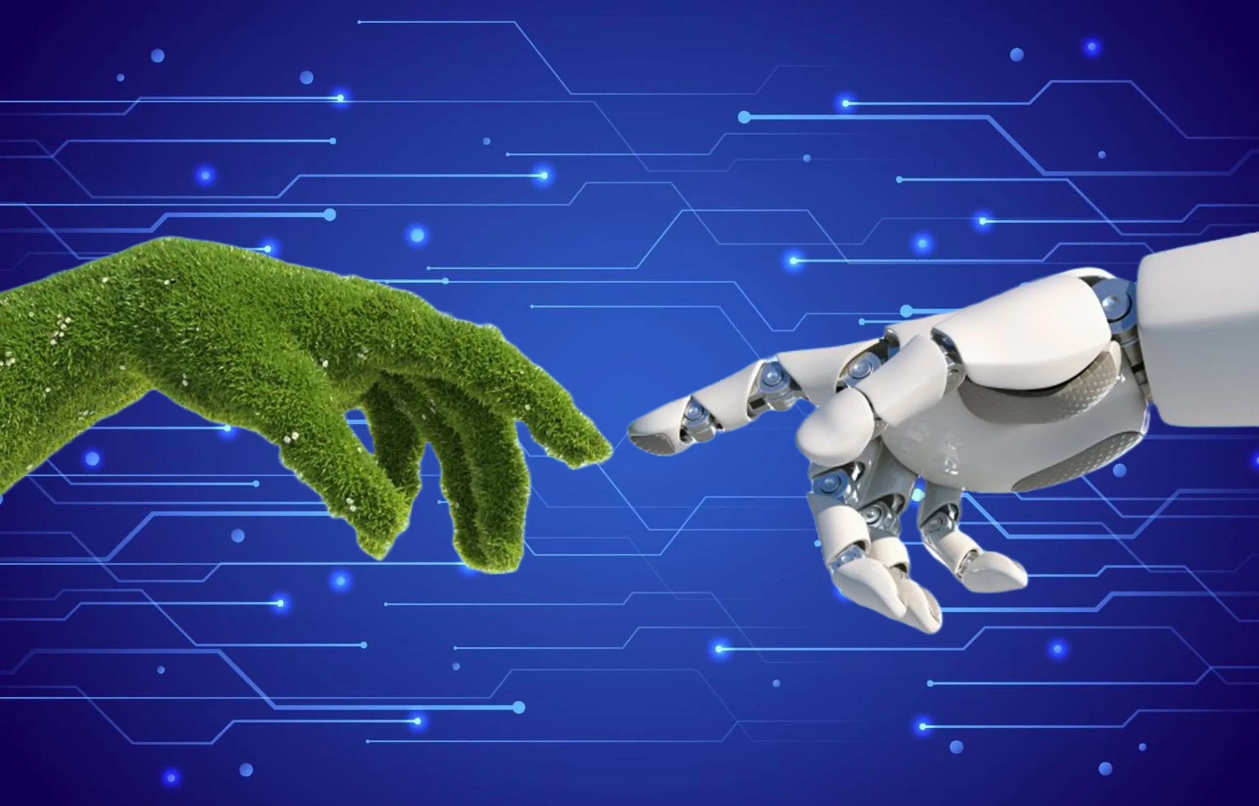 Avances en productos más responsables