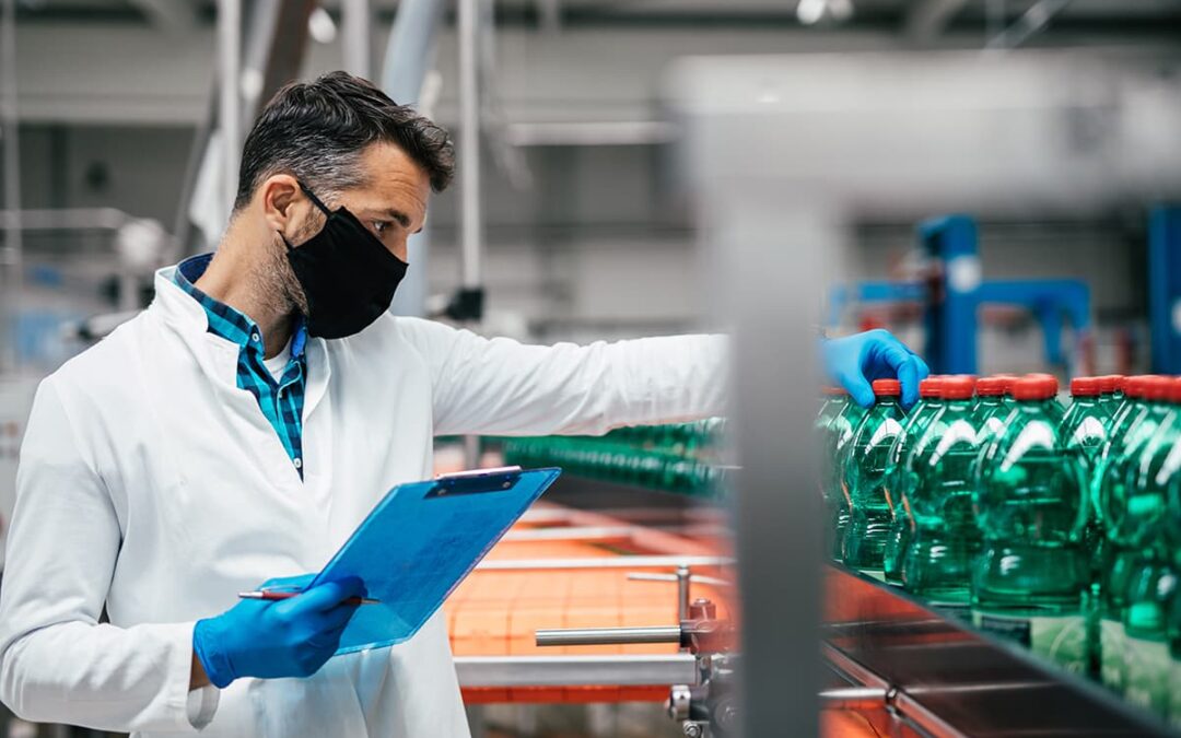 Impacto de la calidad de los insumos en la productividad laboral