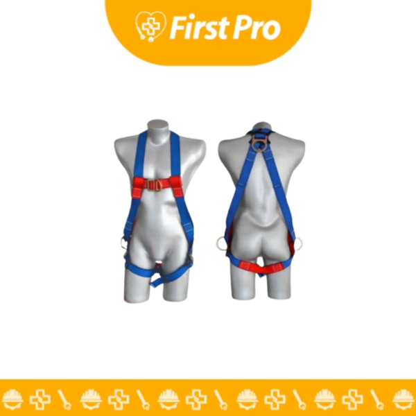 Arnés en H 4 Argollas en D 3M First 1170186