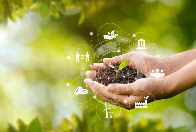 Sostenibilidad en la industria: productos y procesos que ayudan a reducir el impacto ambiental