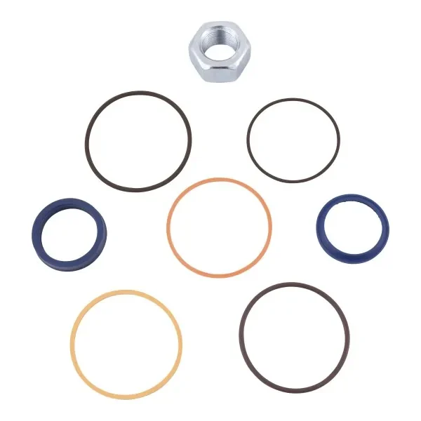 CYLINDER SEAL KIT P/N 7137939