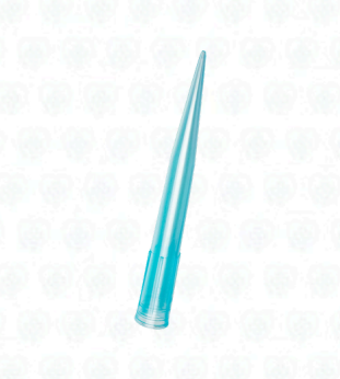 Puntas Azules para Micropipeta 100–1000 µL – Kyntel x 500 Unidades