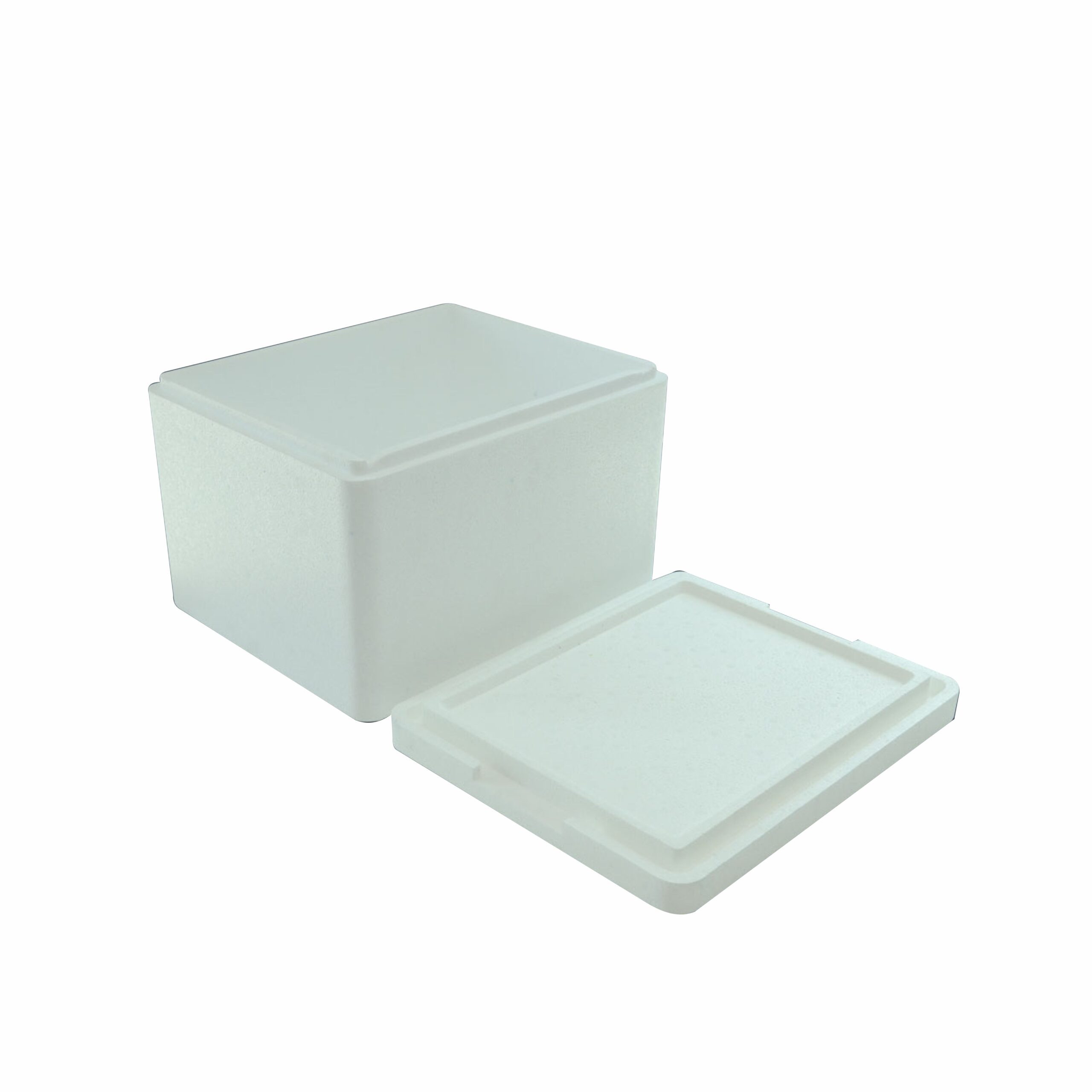 Caja Termica N11