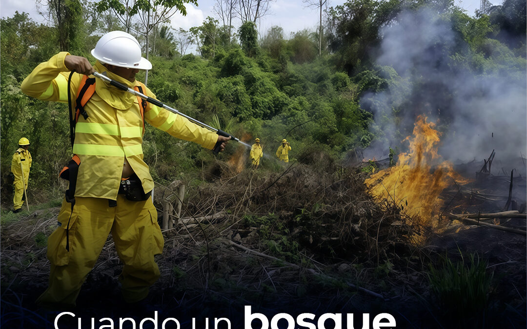 Incendios forestales en el Perú: consecuencias ambientales, sociales y económicas y cómo prevenirlos