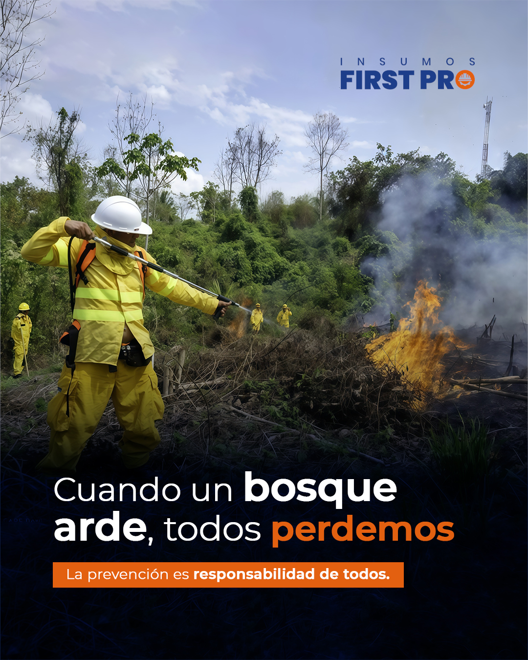 Incendios forestales en el Perú: consecuencias ambientales, sociales y económicas y cómo prevenirlos